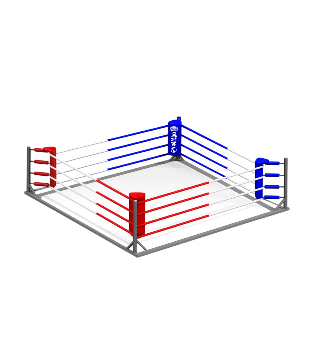Katsudo prenosni vadbeni ring Strikeborn