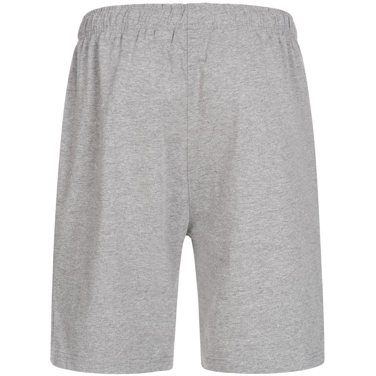 Ben Lee moške boksarice Basic, sive